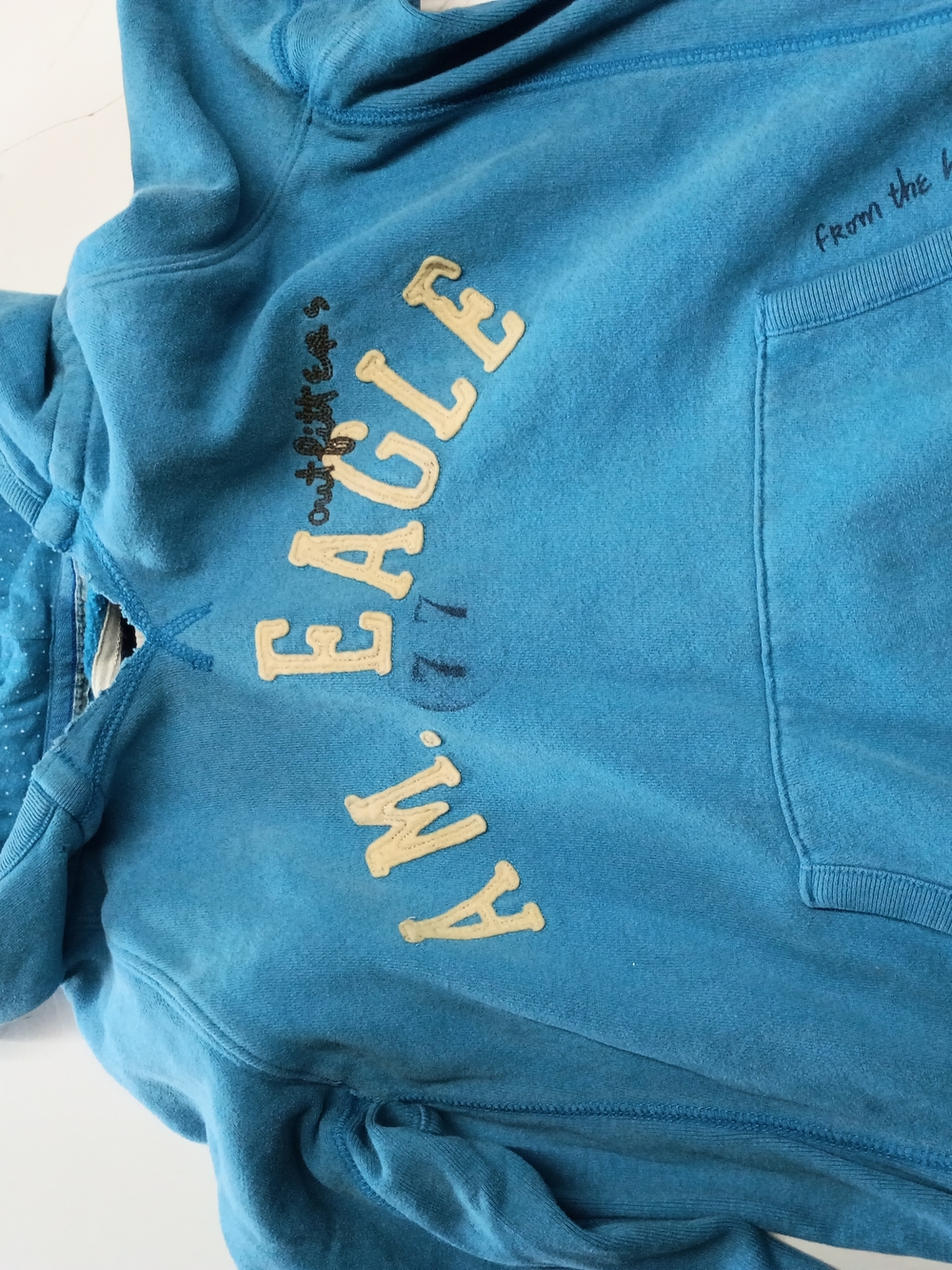 American Eagle Outfitters Teal Pullover Hoodie with Cream Logo